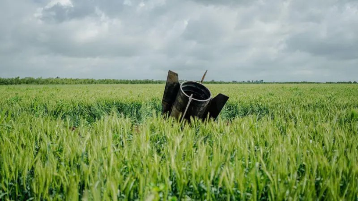 Dünya çapında STK'lardan Savaşı Durdurun Çağrısı