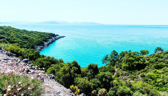 Ekoloji örgütlerinden milli parkların yapılaşmaya açılmasına tepki