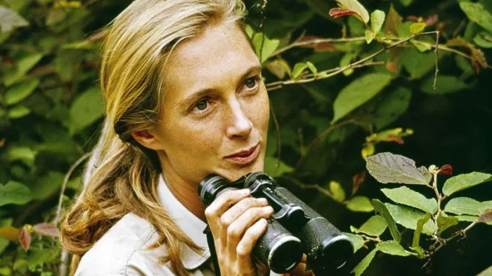 Gezegenimizin kahramanlarından Jane Goodall 91 yaşında hayatını kaybetti