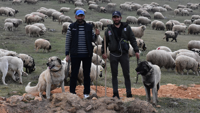 İklim krizinin neden olacağı mera kaybı çobanları da etkileyecek