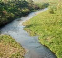 Karadeniz Ereğli OSB'si kirlilik saçıyor