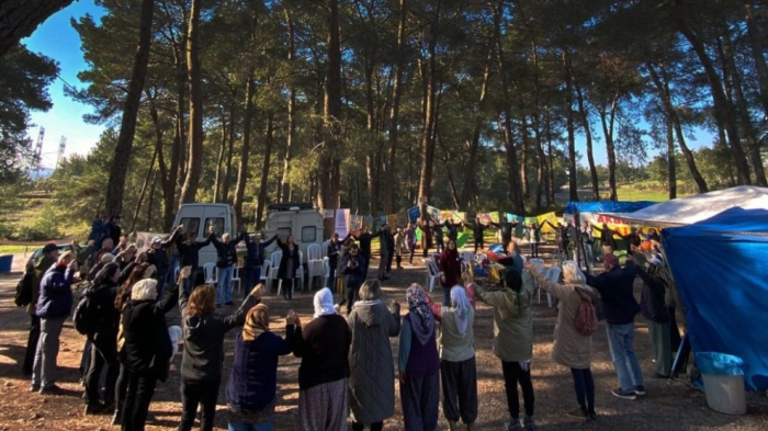 Zeytin Ağaçlarımızı Taşıma İştahıyla Şirketle İşbirliği Yapanları Unutmayacağız